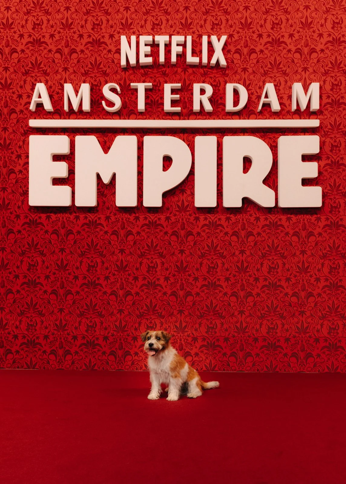 Red carpet premiere setup for Netflix Amsterdam Empire in Amsterdam