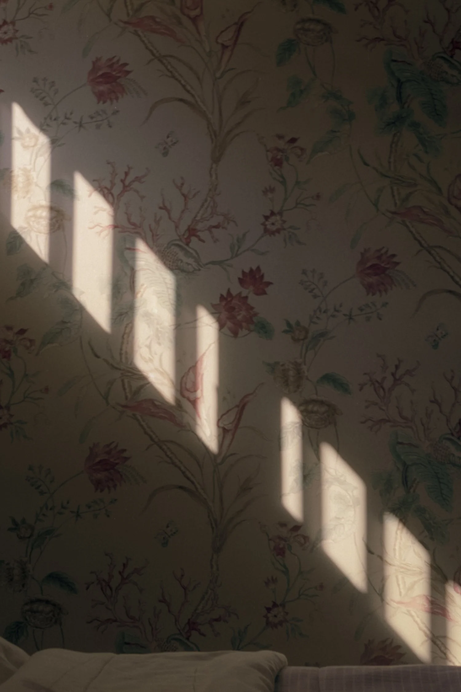 In Plain Sight_09.jpg