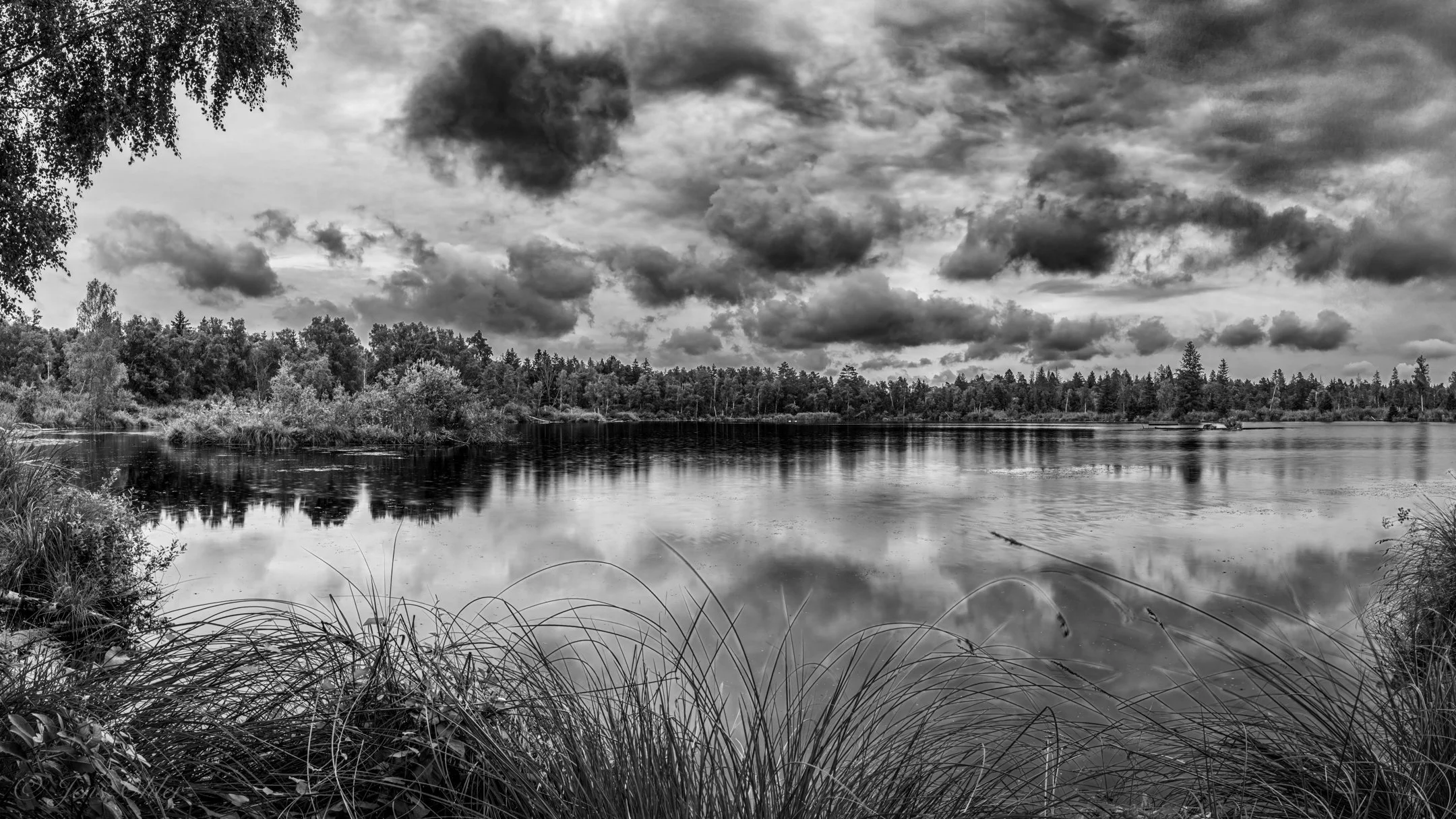 Moorsee Pfrunger-Burgweiler Ried-gigapixel-standard v2-1x-SM.jpg