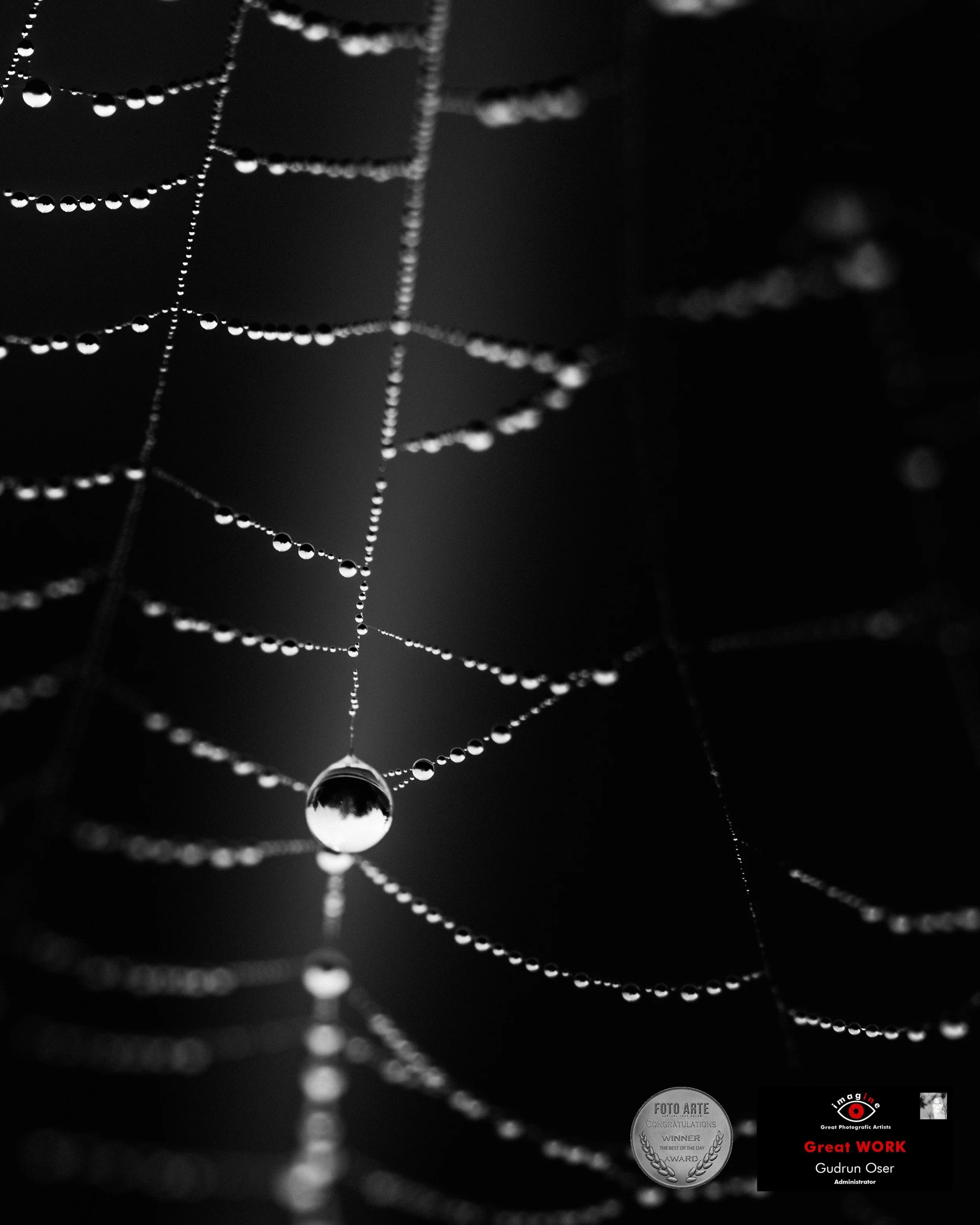 Die Welt im Tropfen · Great Photographic Artists · Foto Arte Black And White · 2026