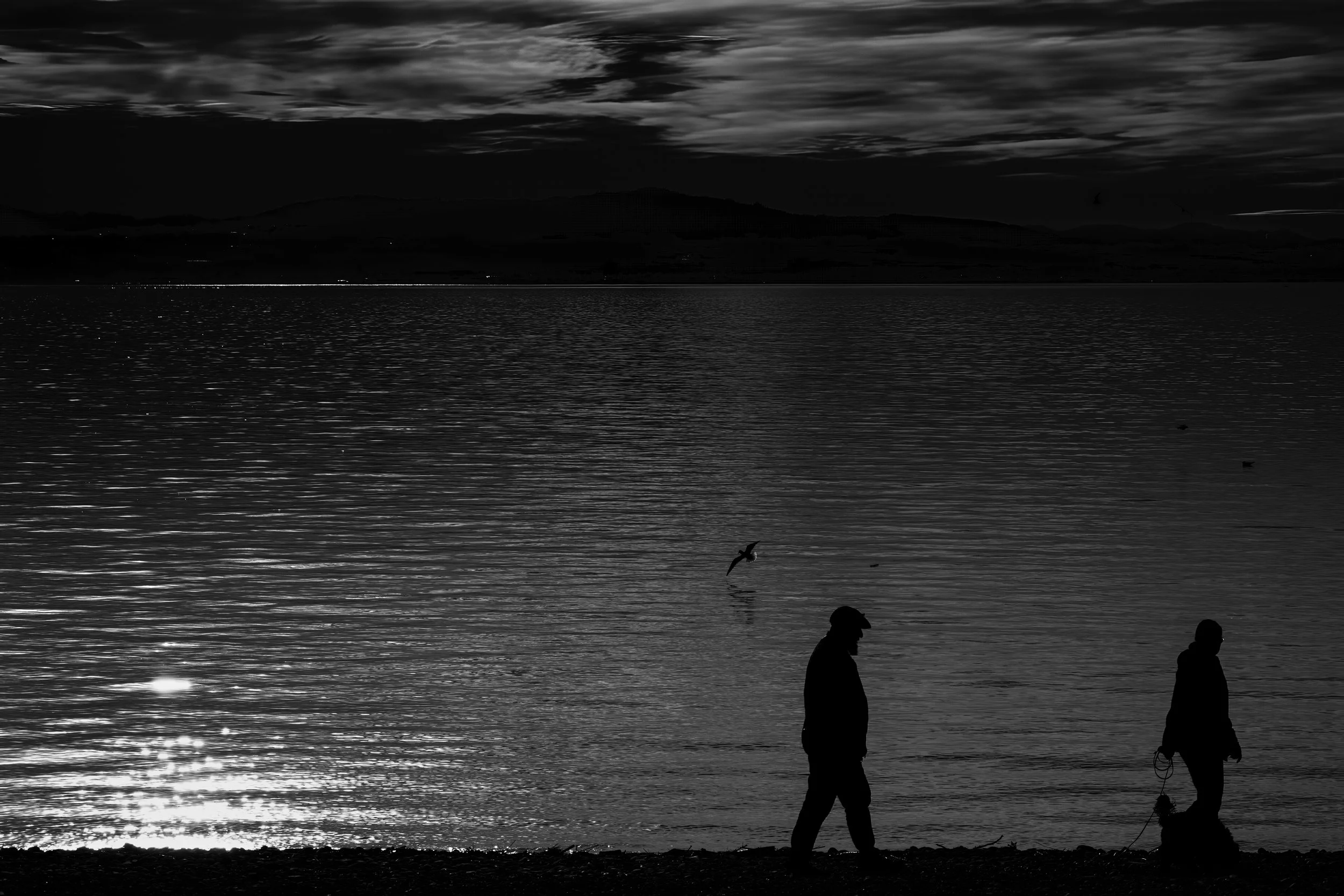 Silhouetten von zwei Personen, die am Strand entlanggehen, während die Sonne im Wasser spiegelt, mit Vögeln über dem Wasser im Hintergrund.
