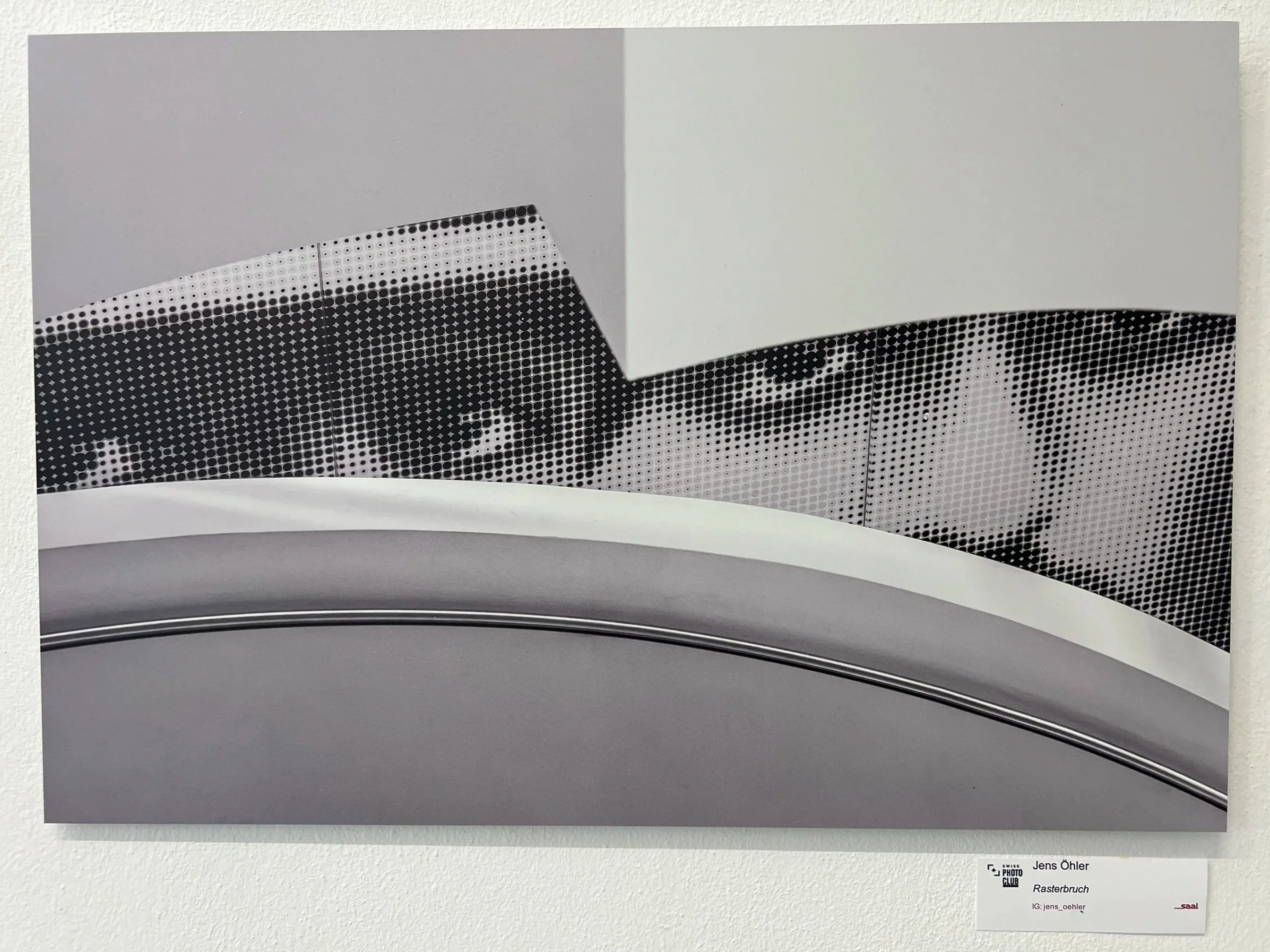 Fotografie eines Rasterbruchs, der aus kleinen schwarzen und weißen Punkten besteht, auf einem weißen Hintergrund. Es ist ein Kunstwerk mit abstrakter Gestaltung.