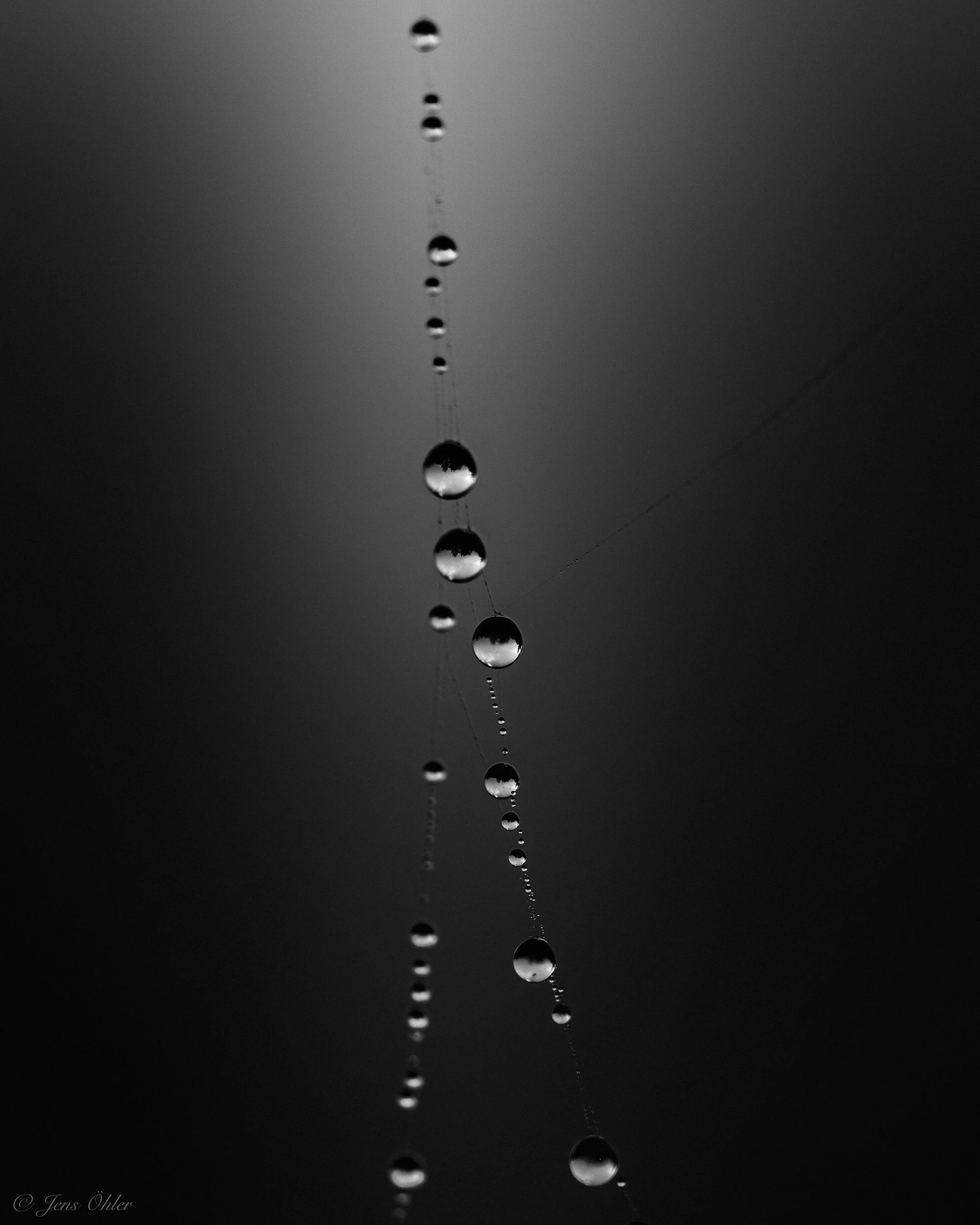 Das Spinnennetz verschwindet beinahe vollständig im Hintergrund. Zurück bleiben einzelne Wassertropfen, die scheinbar schwerelos im Raum schweben. Natur reduziert auf Licht, Form und Rhythmus.
