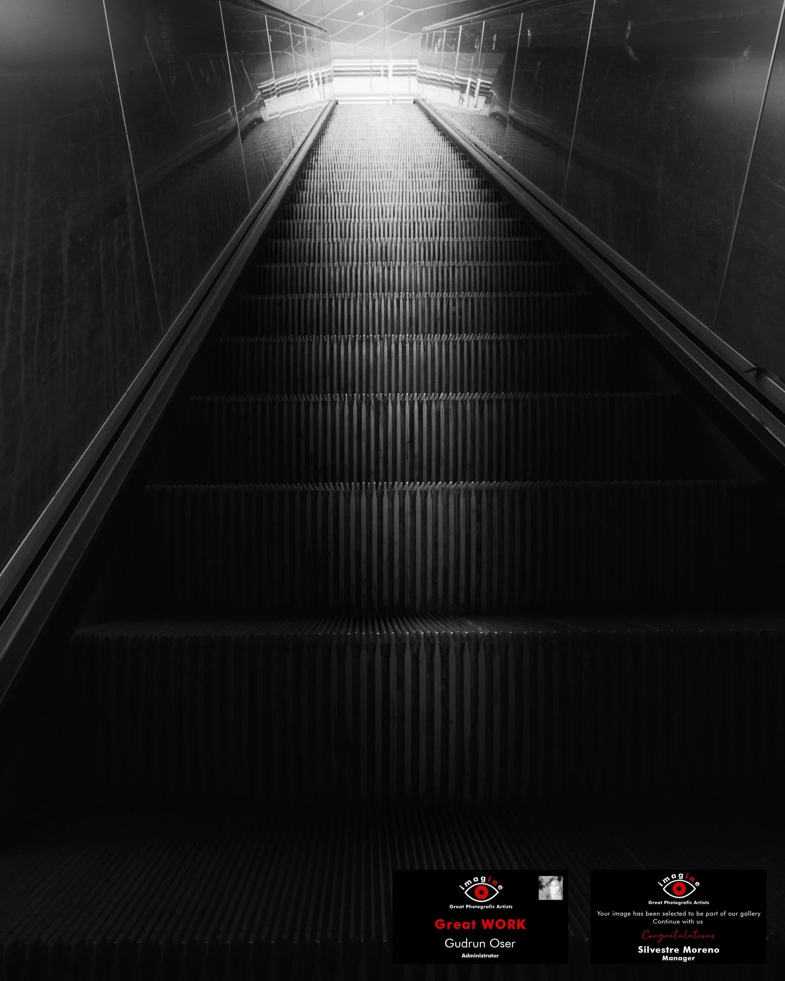 Nach oben · Great Photographic Artists · 2026