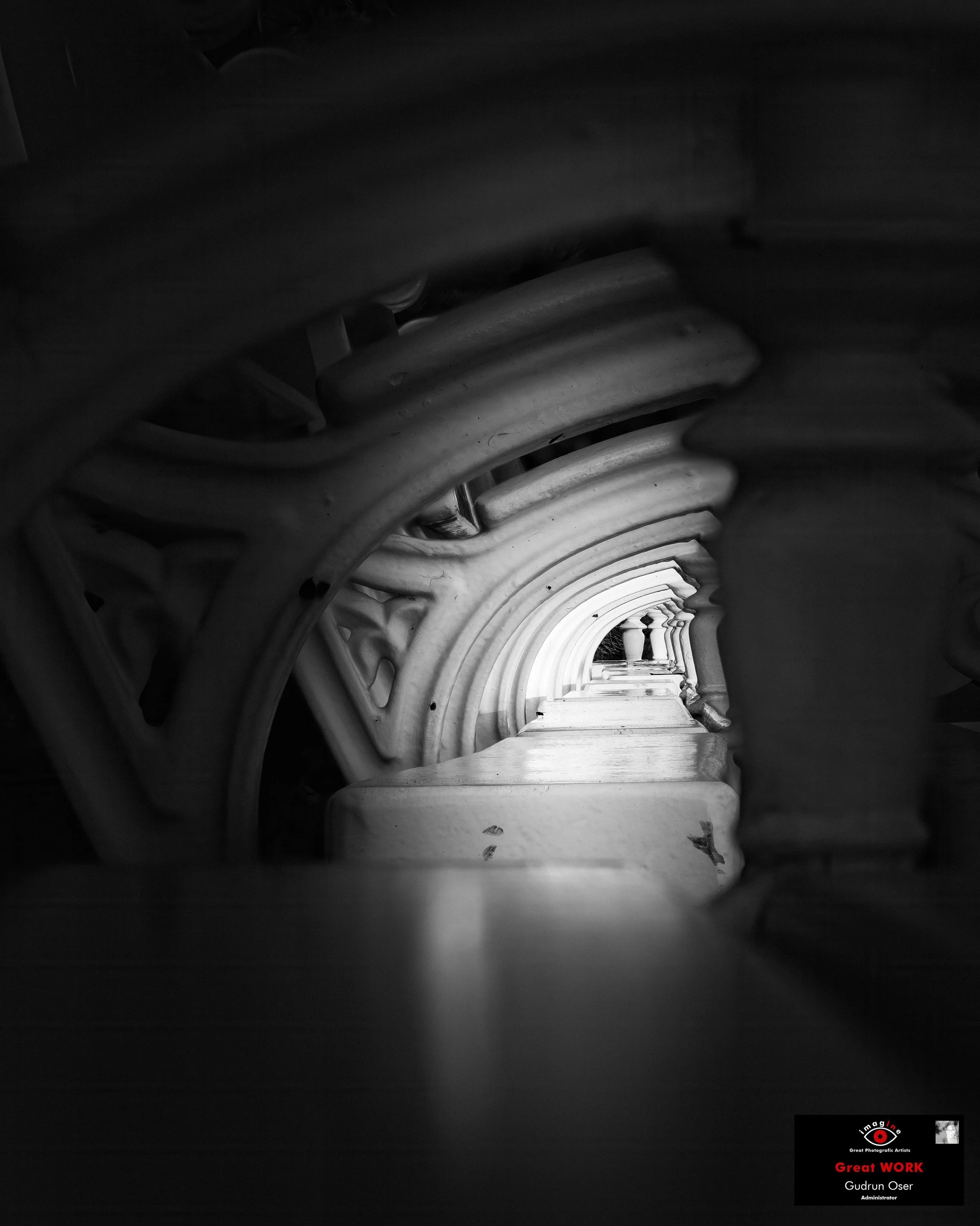 Sitzreihe · Great Photographic Artists · 2026