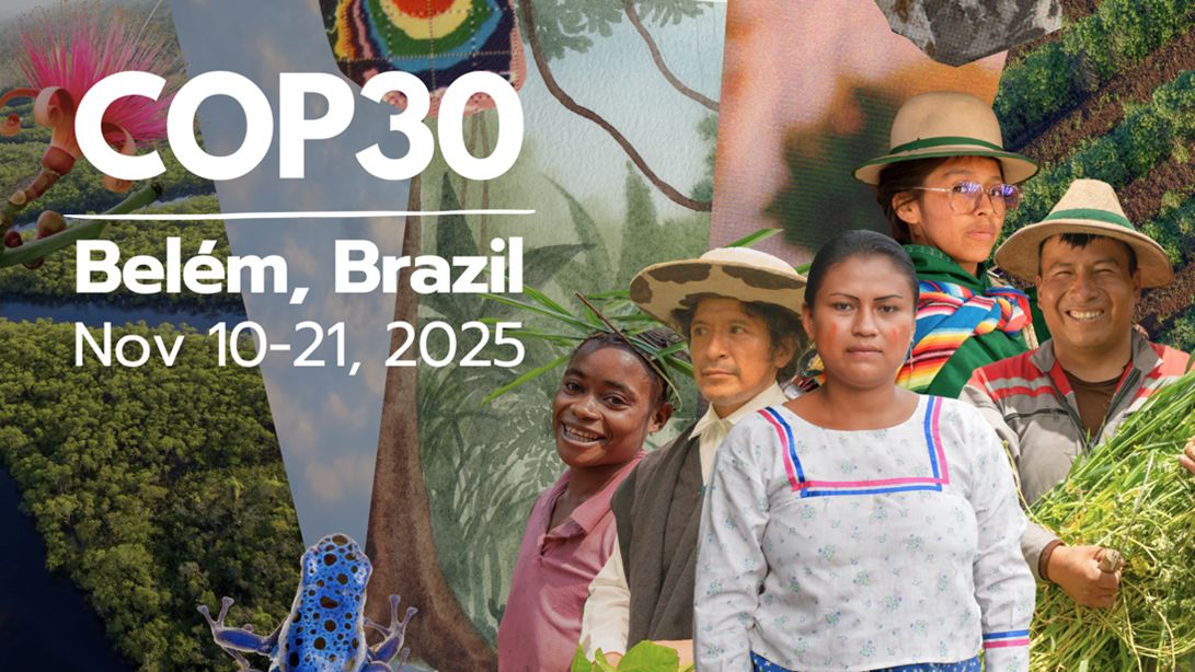 The Mixed Legacy of COP30 in the Amazon: Another Missed Chance?