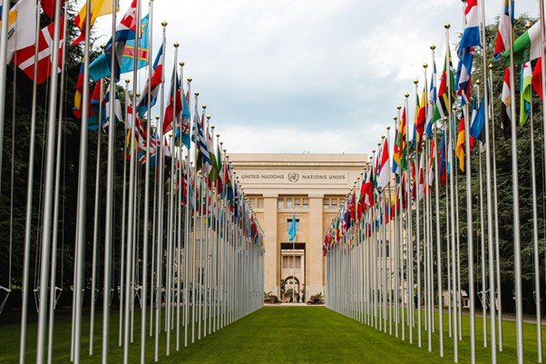 Do We Still Need the UN?