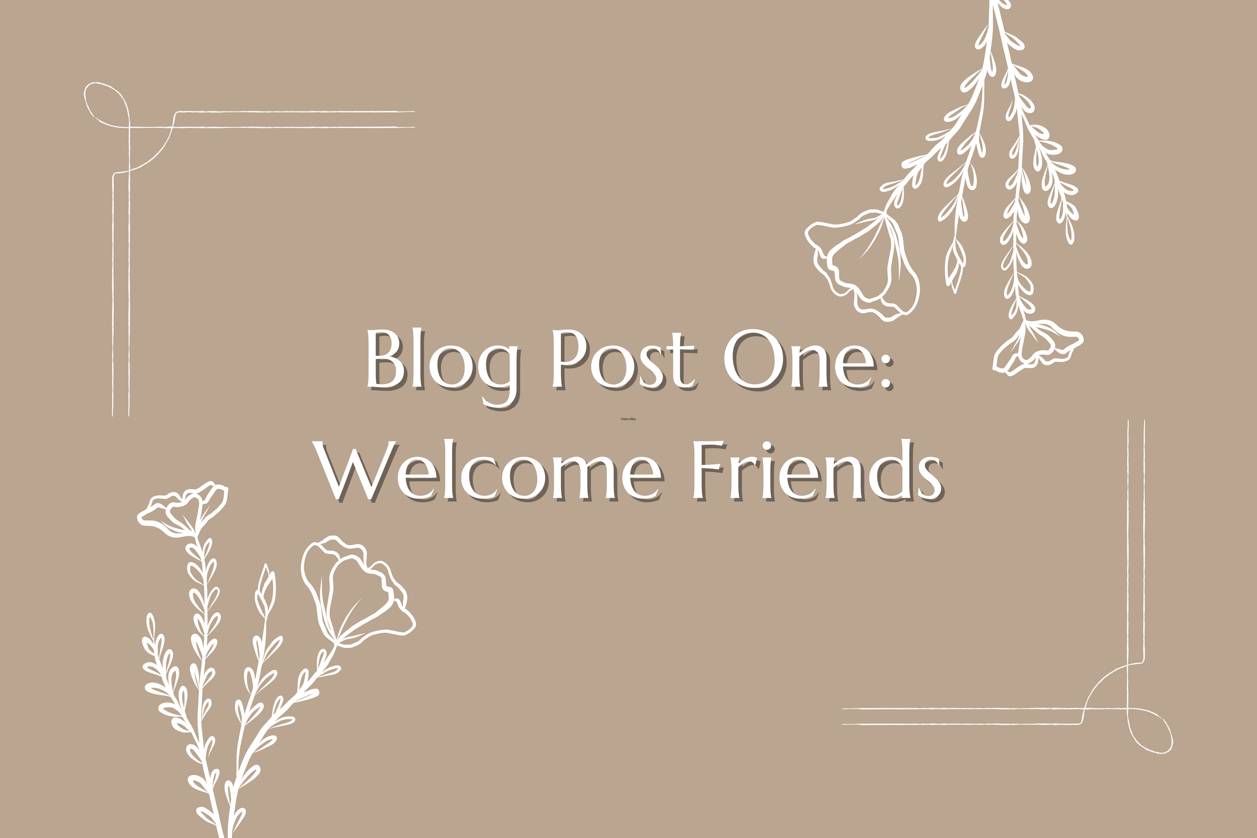 A Sneak Peak to What’s Next!