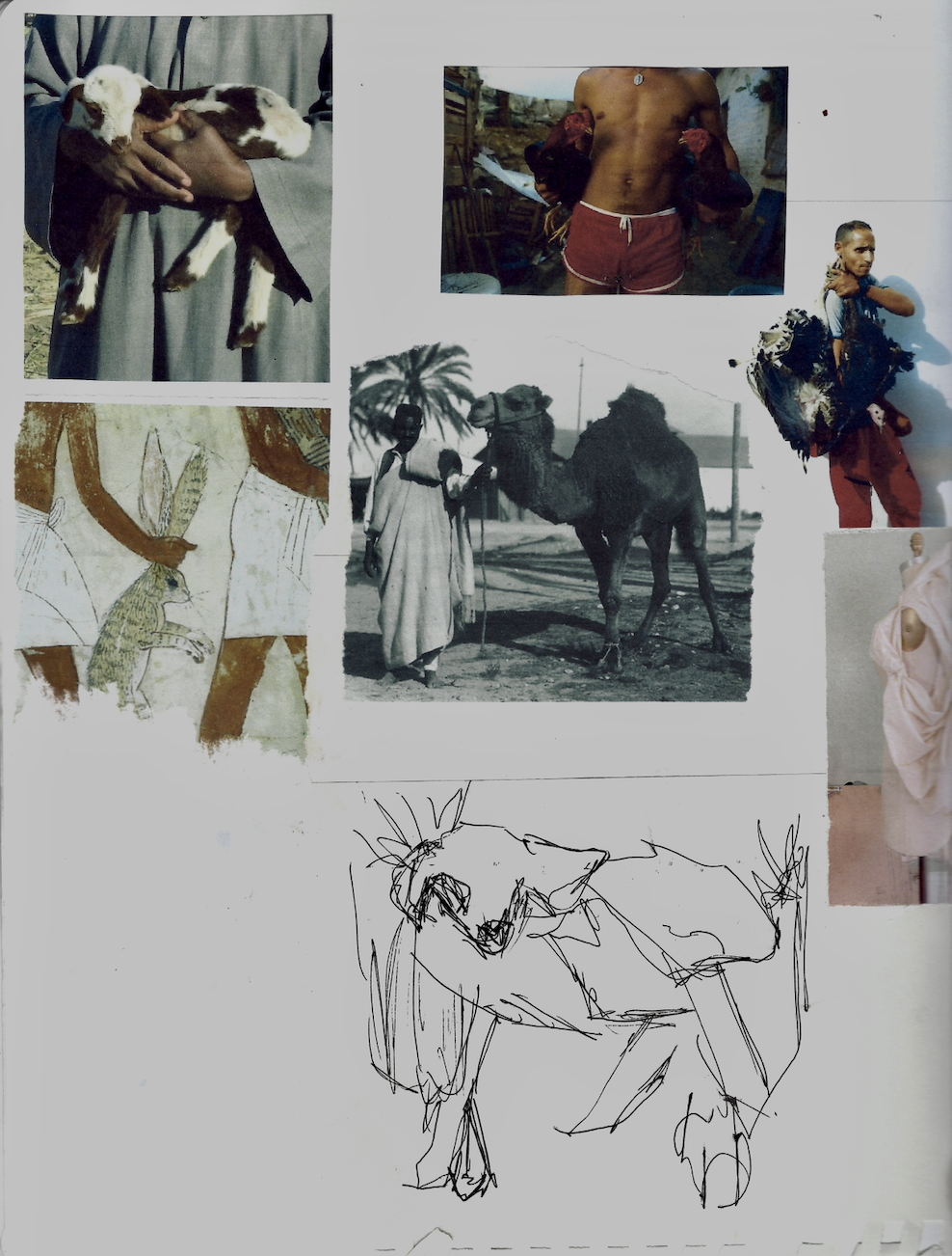 Screenshot 2026-03-10 at 3.17.16 pm.png