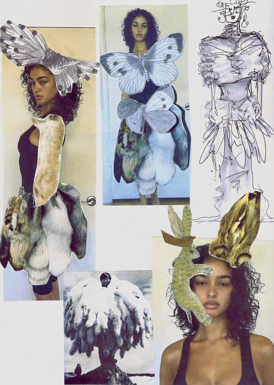 Screenshot 2026-03-10 at 3.17.06 pm.png