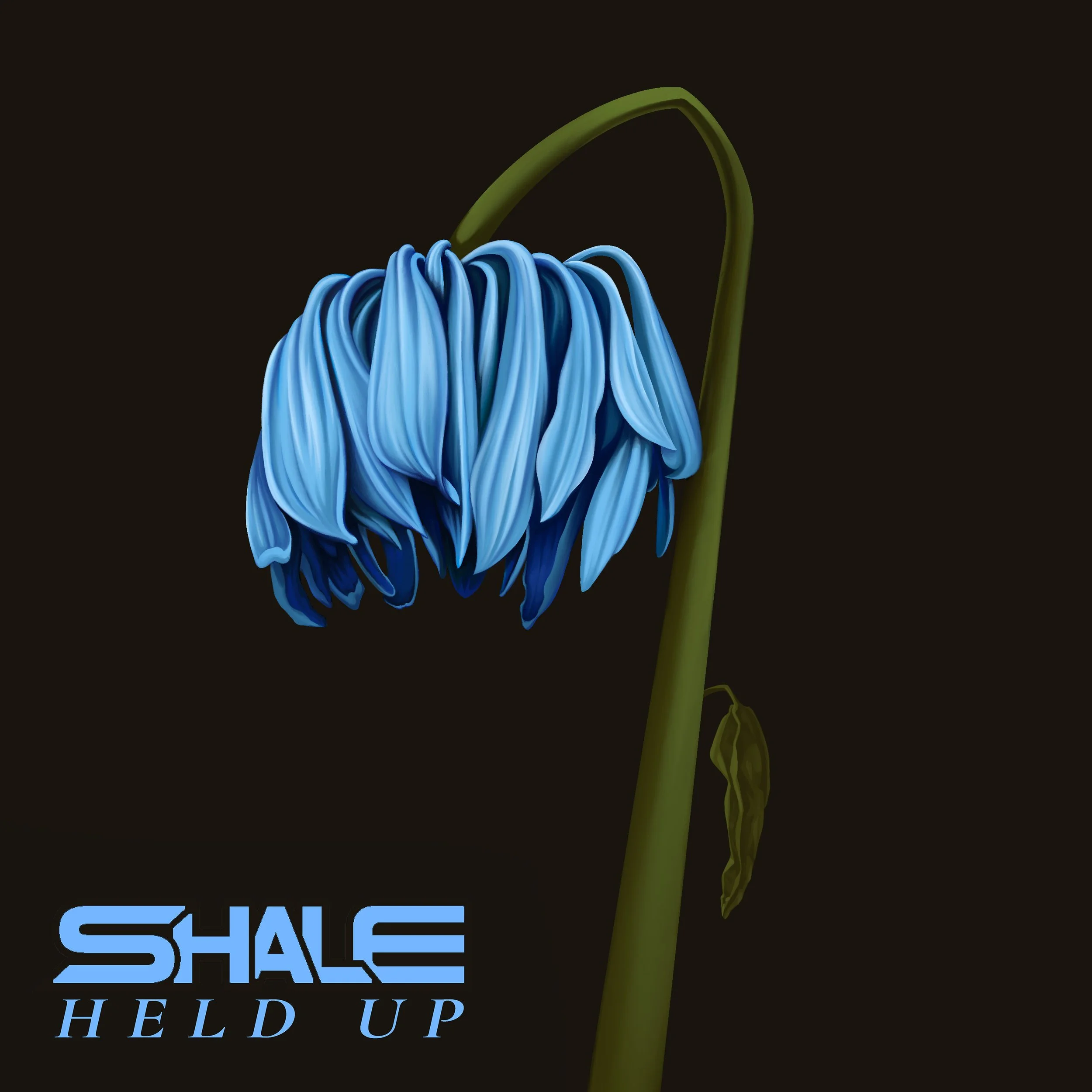 HELD_UP-Final.jpg