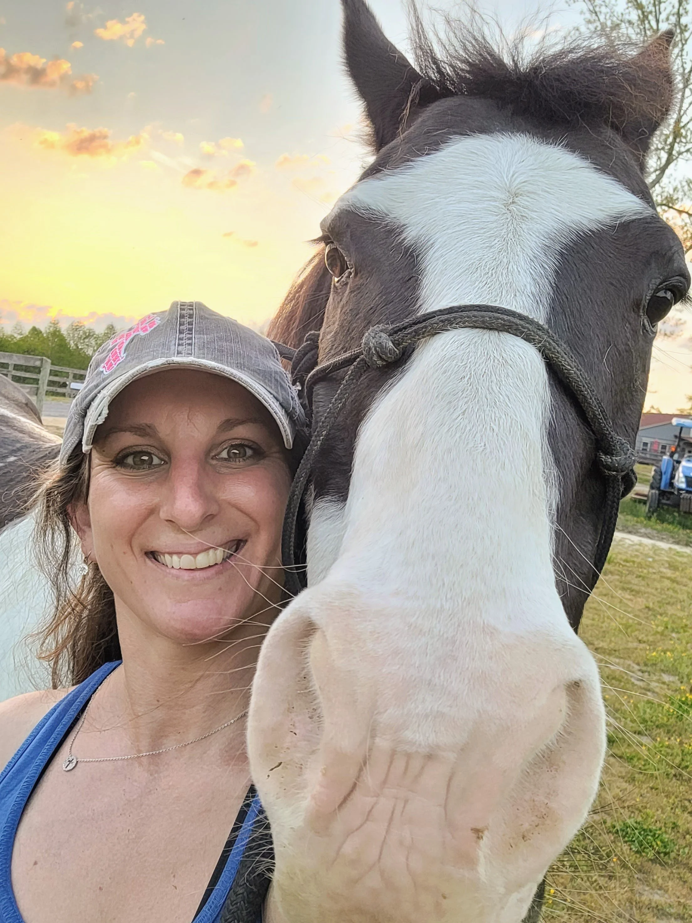 Website positive review from girl with horse Khamradas Hope