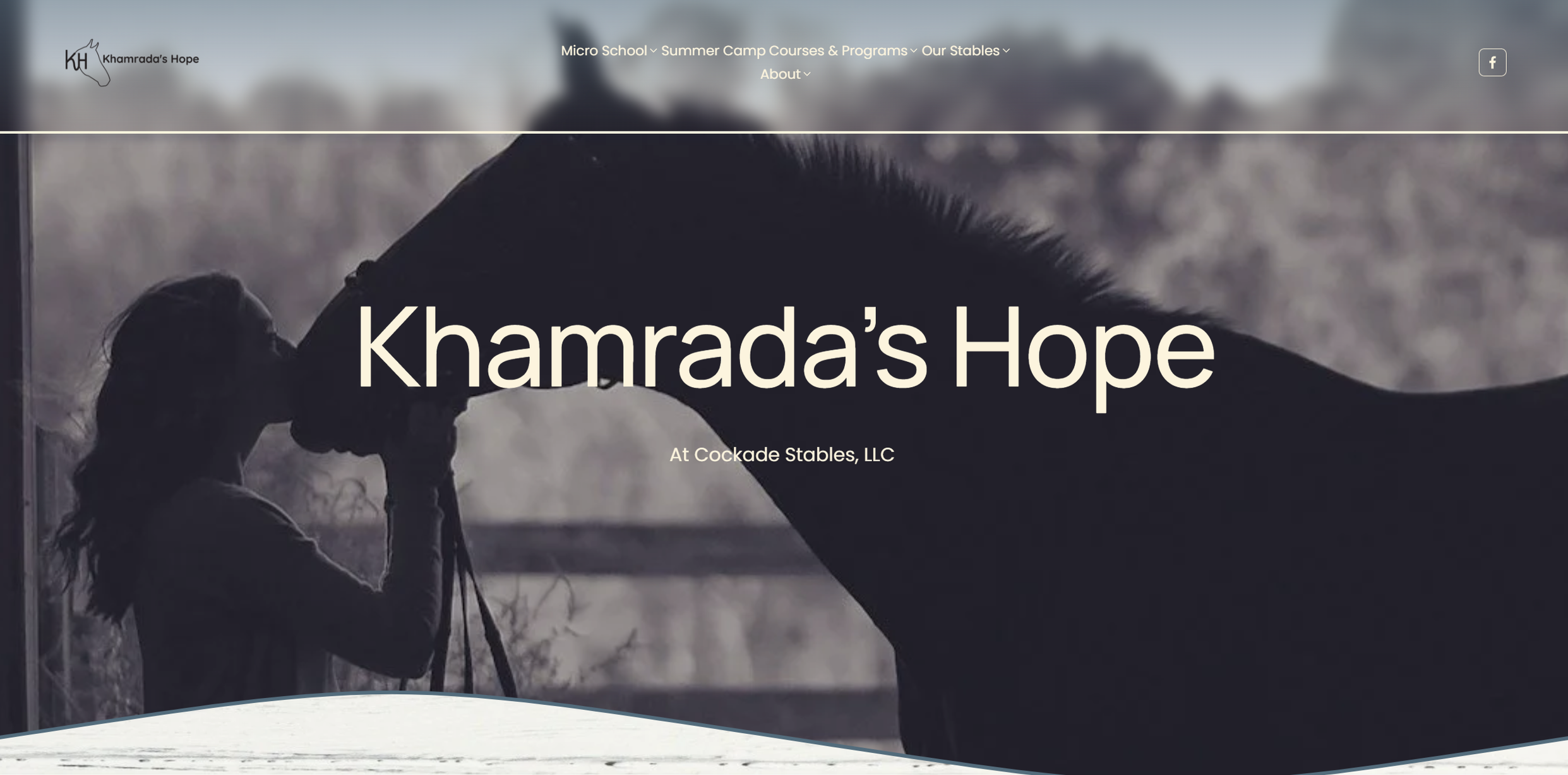 Website designer showcasing a recent beautiful website build.