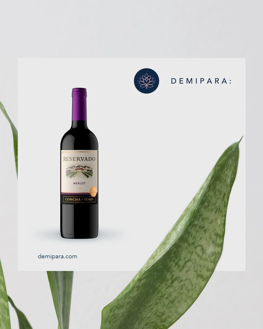 CONCHAYTOROTINTOMERLOT__-750ML.jpg