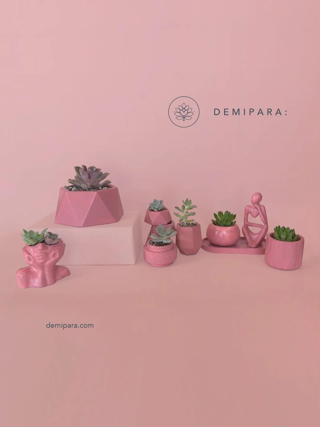 🌿 

Hay detalles que no necesitan palabras.
Solo estar ah&iacute;, crecer bonito y hacer sonre&iacute;r.
✨ Elige el tuyo en demipara.com

&mdash;&mdash;&mdash;&mdash;&mdash;&mdash;

Some details speak for themselves.
They grow quietly, bring joy and