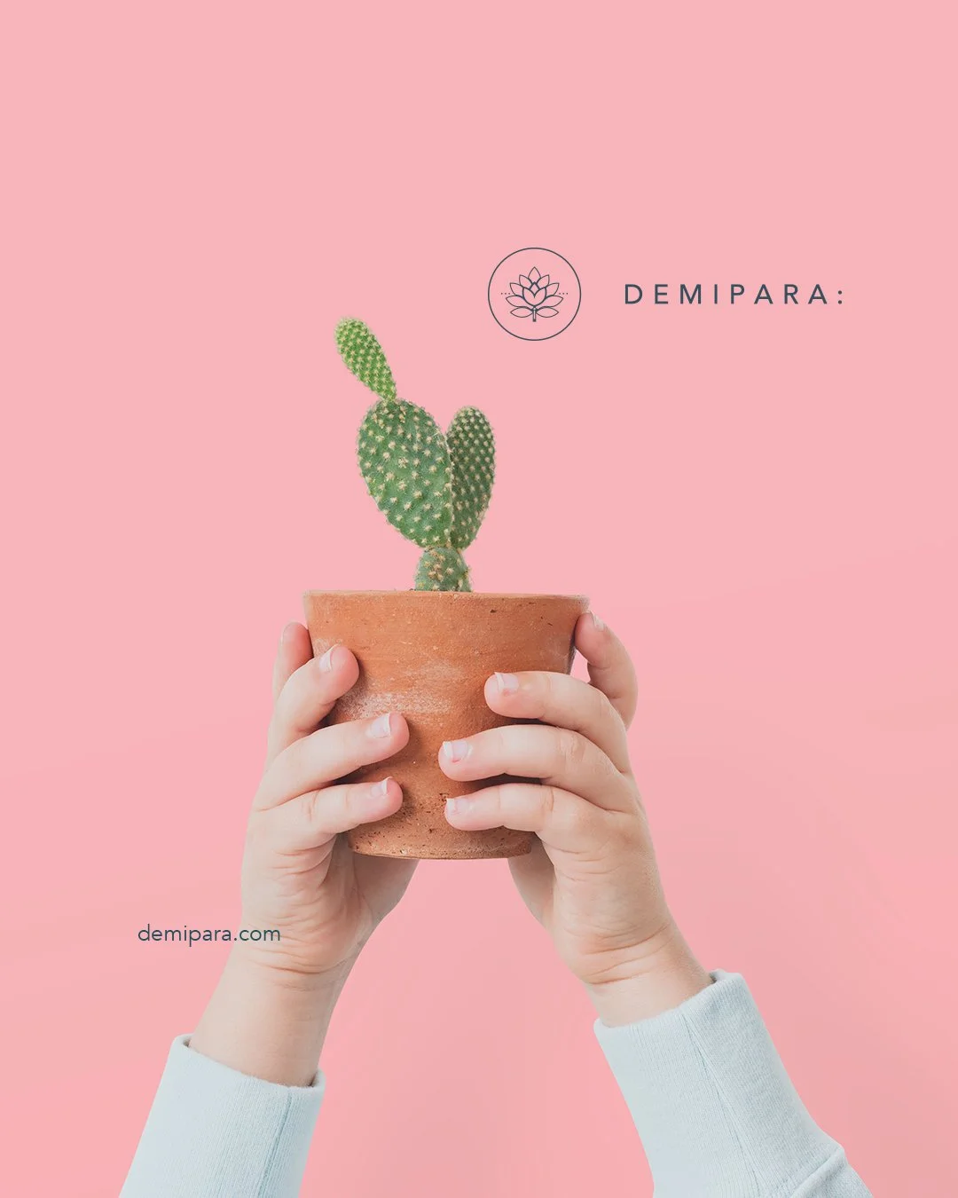 La amistad tambi&eacute;n merece detalles.
Plantas + entrega en febrero.
.
.
.
#DeMiPara #FebreroSeDisfruta #Hermanos #Amistad #RegalosSinOcasi&oacute;n #RegalosConPlantas #CiudadDeM&eacute;xico