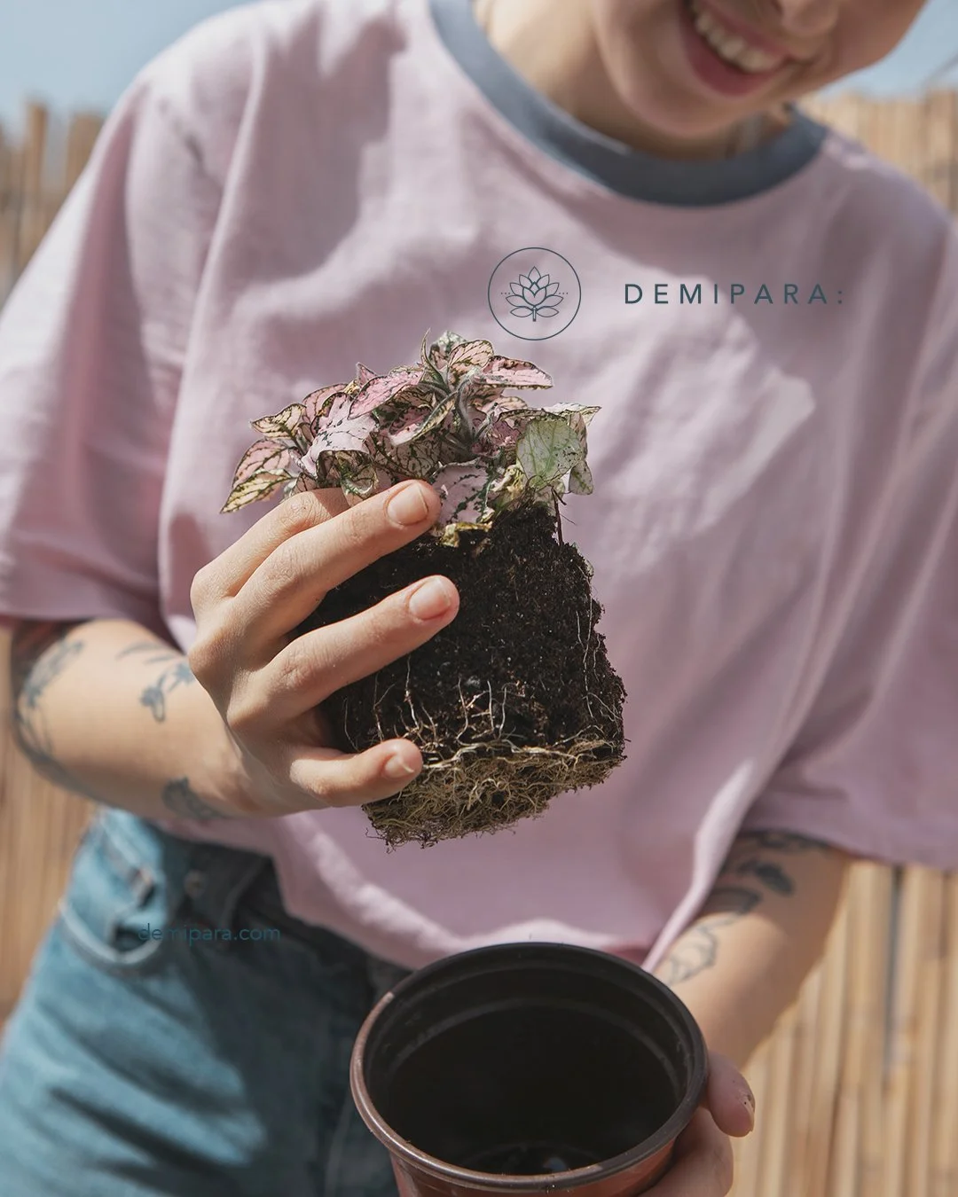 Cuidar tambi&eacute;n es parte del regalo.
Detalles que se quedan y crecen contigo.
.
.
.
#DeMiPara #Plantas #DetallesQueSeQuedan #Proceso #CuidadoDePlantas #RegalosConPlantas #FebreroSeDisfruta #CiudadDeM&eacute;xico