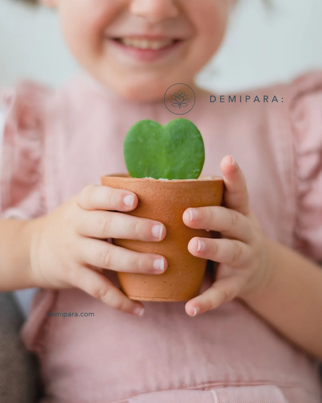 Febrero tambi&eacute;n es para los amigos.
Plantas + entrega bonita.
.
.
.
#DeMiPara #FebreroSeDisfruta #Amistad #RegalosConPlantas #RegalosSinOcasi&oacute;n #CiudadDeM&eacute;xico