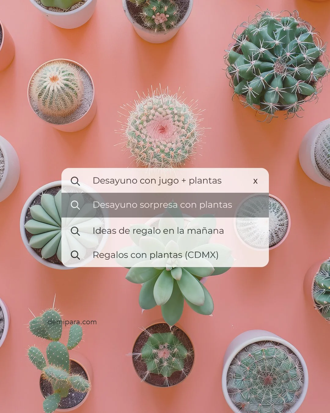 Detalles que se regalan.
Packs para febrero.
Regalos que se quedan.
.
.
.
#DeMiPara #FebreroSeDisfruta #Packs #RegalosConPlantas #RegalosSinOcasi&oacute;n #CiudadDeM&eacute;xico