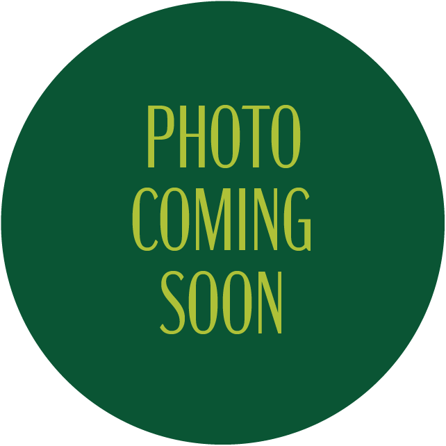 photo soon.png