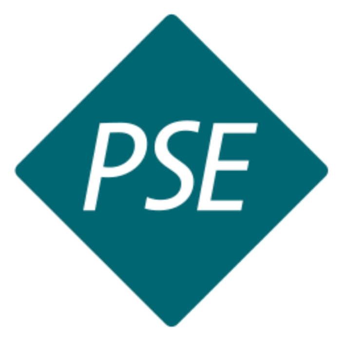 Blue diamond-shaped object with the text 'PSE' written in black on the front.