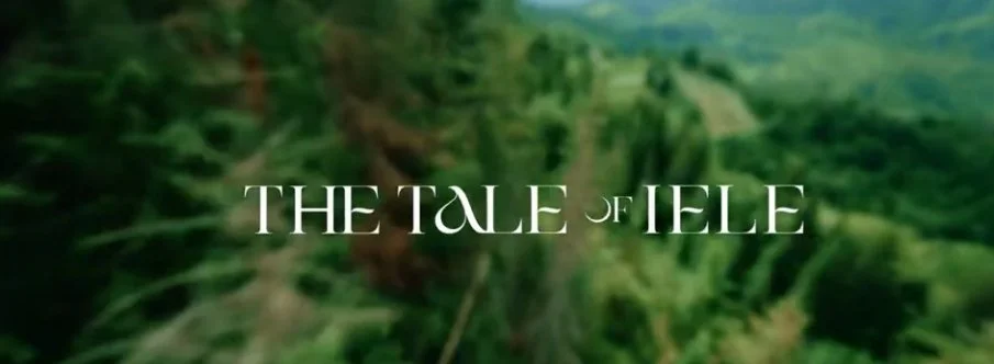 Tithorea 2022 Aftermovie