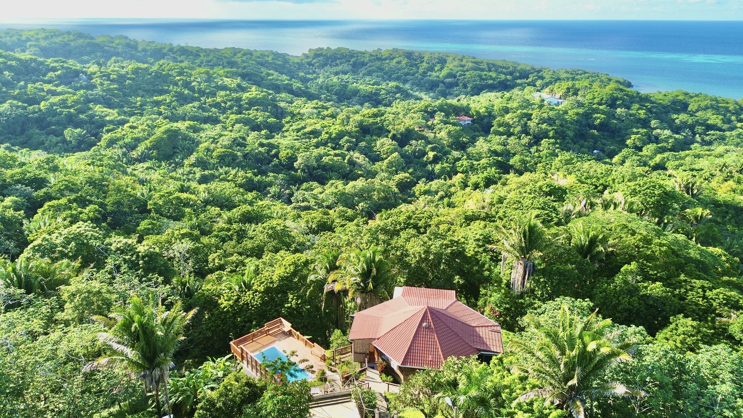 dji_fly_20241112_32228 p. m._125_1731446842082_photo_optimized.jpg