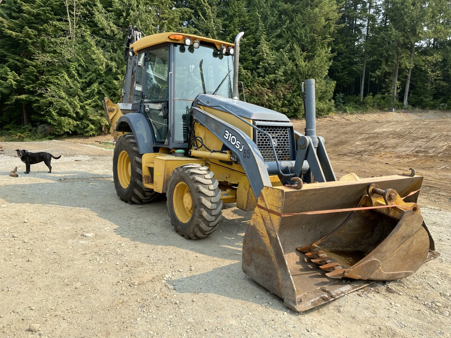 Yellow and black backhoe loader parked on gravel surface near a forest area, with a black dog standing nearby.