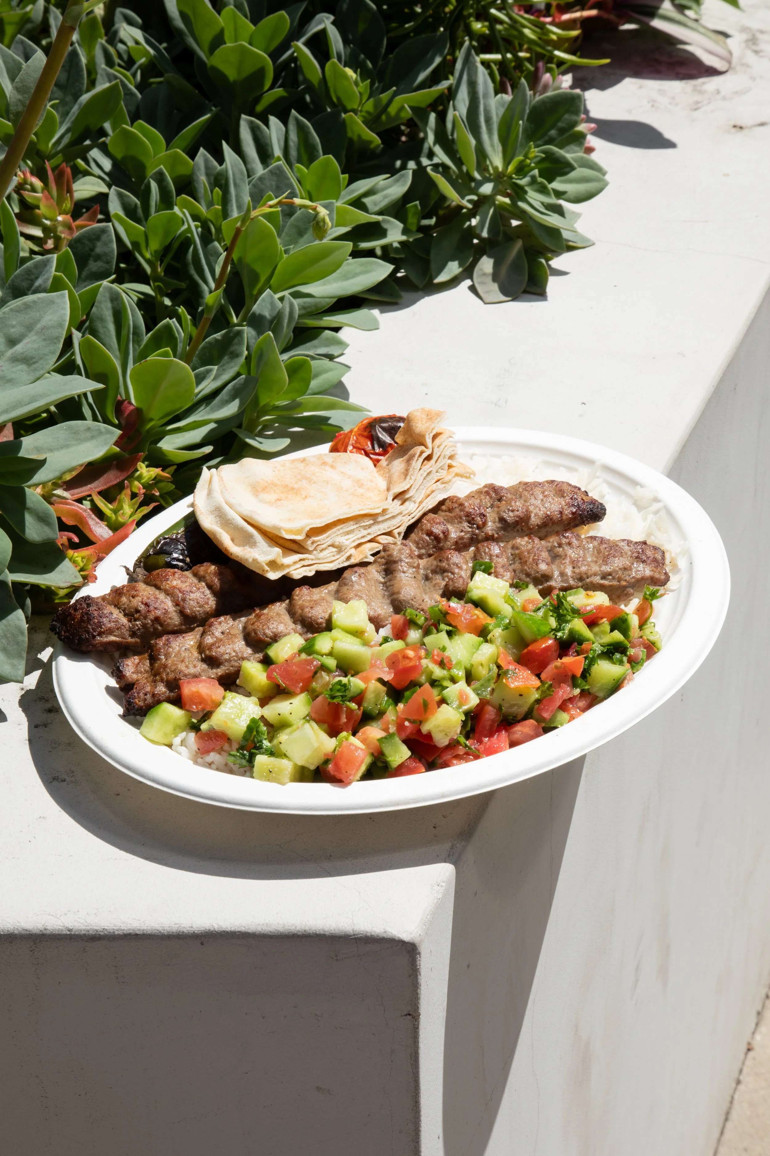 Professional Photography