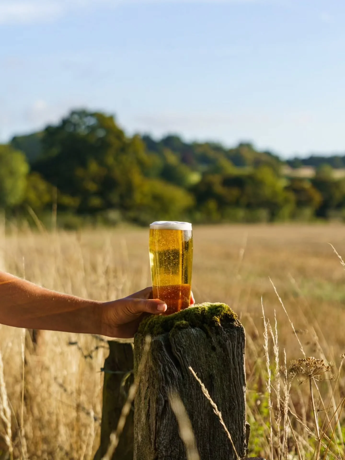In a just a few months, the fields will be golden, the skies wide and blue, and our Hampshire pub open 🍻 #TheCandover #CountryPub #Hampshire