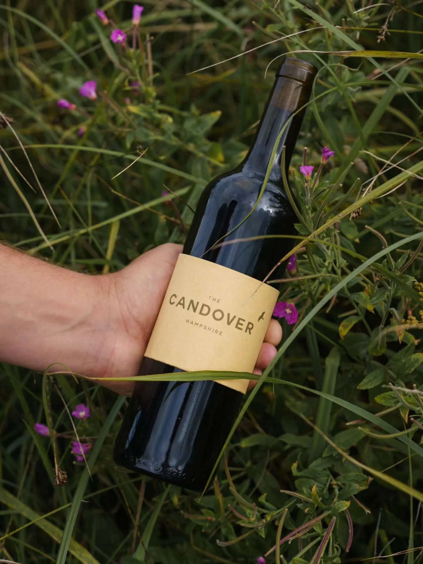 Longer days, meadow grass, and a good bottle of red. Spring is just around the corner.... and so are we 🌿🍷 #Hampshire #TheCandover #PubOpening