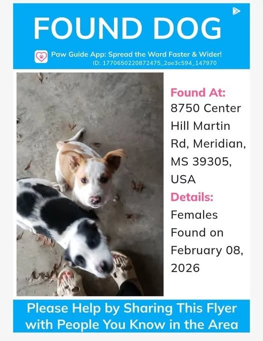 Are these your pups...Call 601-938-3200