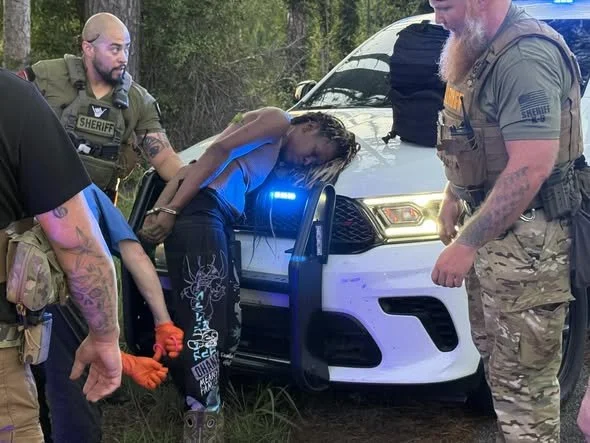 Suspect Apprehended Following Pursuit and Multi-Agency Search in Newton and Lauderdale Counties