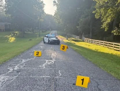 Three Geese Killed in Hit-and-Run on Bounds Road