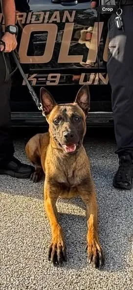 SEP The K-9 Takes a Bite Out of Crime On National Dog Day