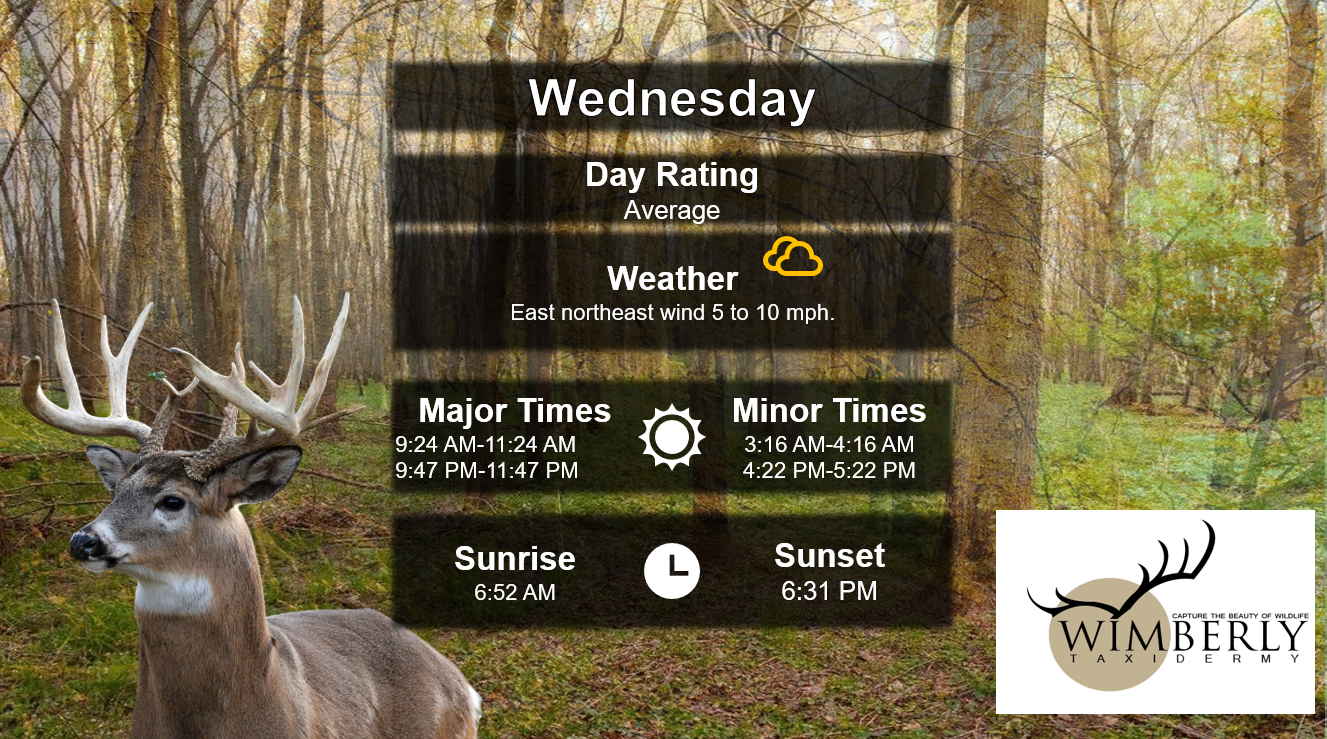 Best Tines To Hunt Today 10-7-26