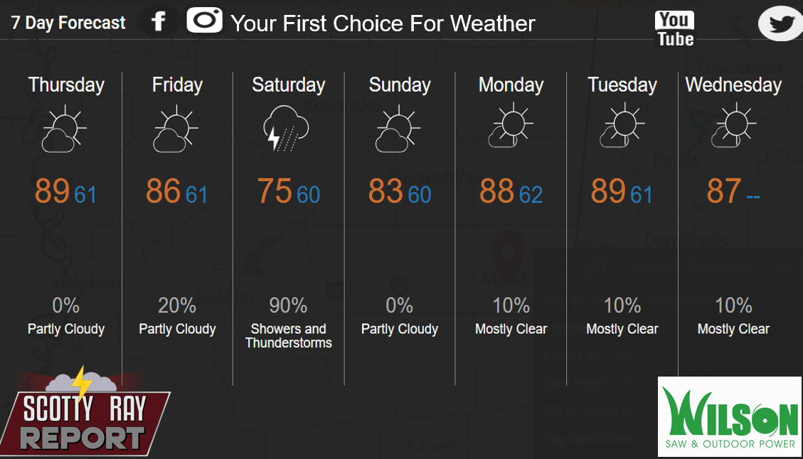 7-Day Forecast