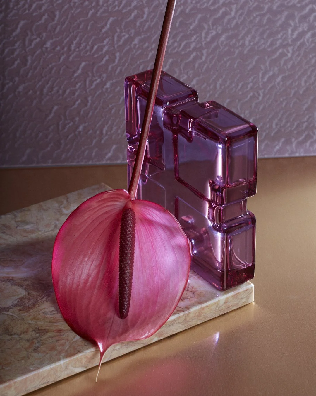 Stills_Cedric_Pradel_Saba 3.jpg