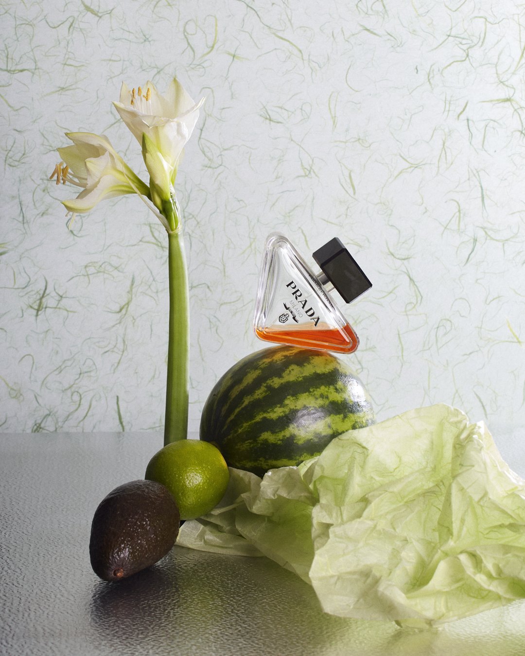 Stills_Cedric_Pradel_Saba 1.jpg