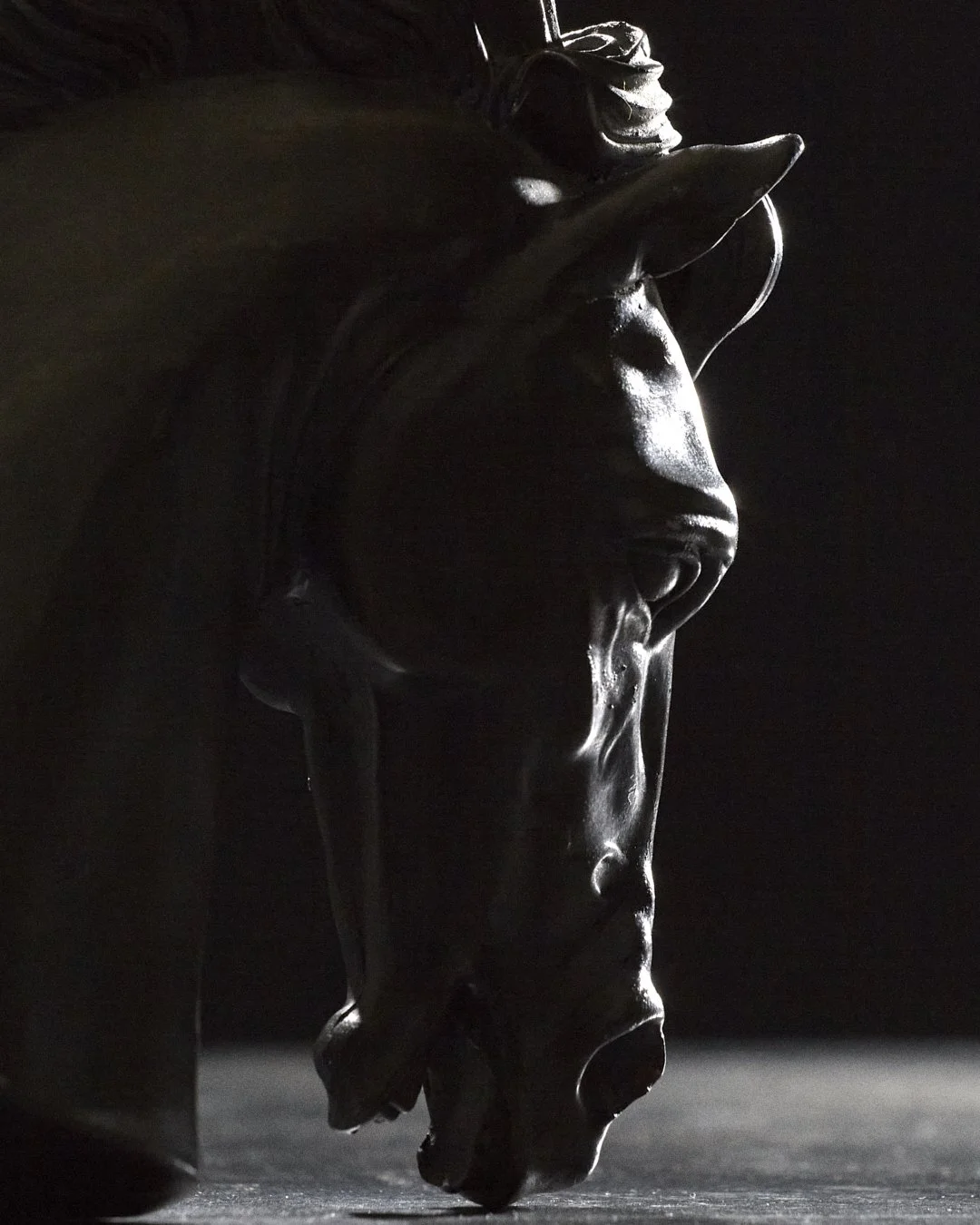 Stills_Cedric_Pradel_Saba 3 copy.jpg