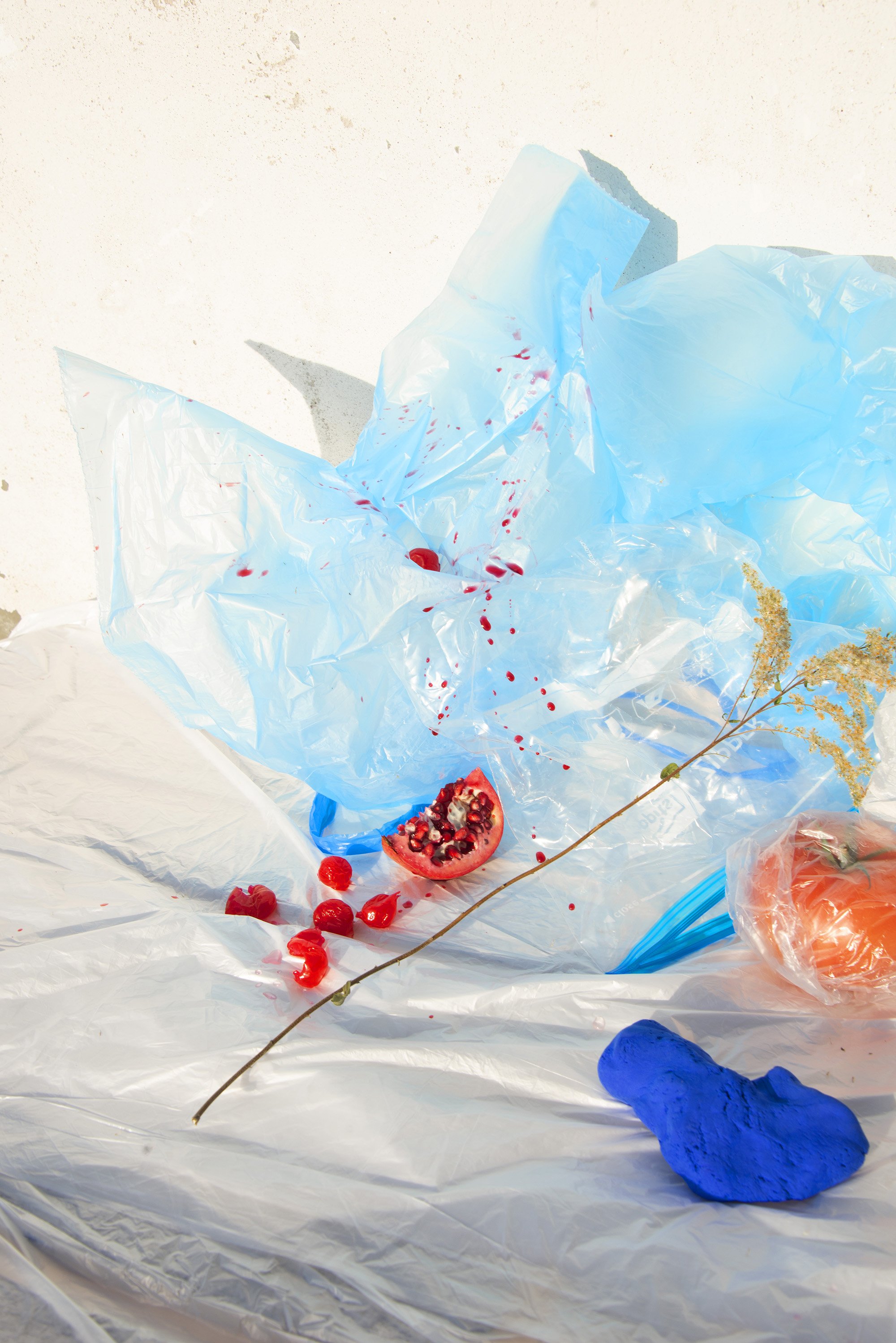 Eliabeth Berlin 3k.jpg