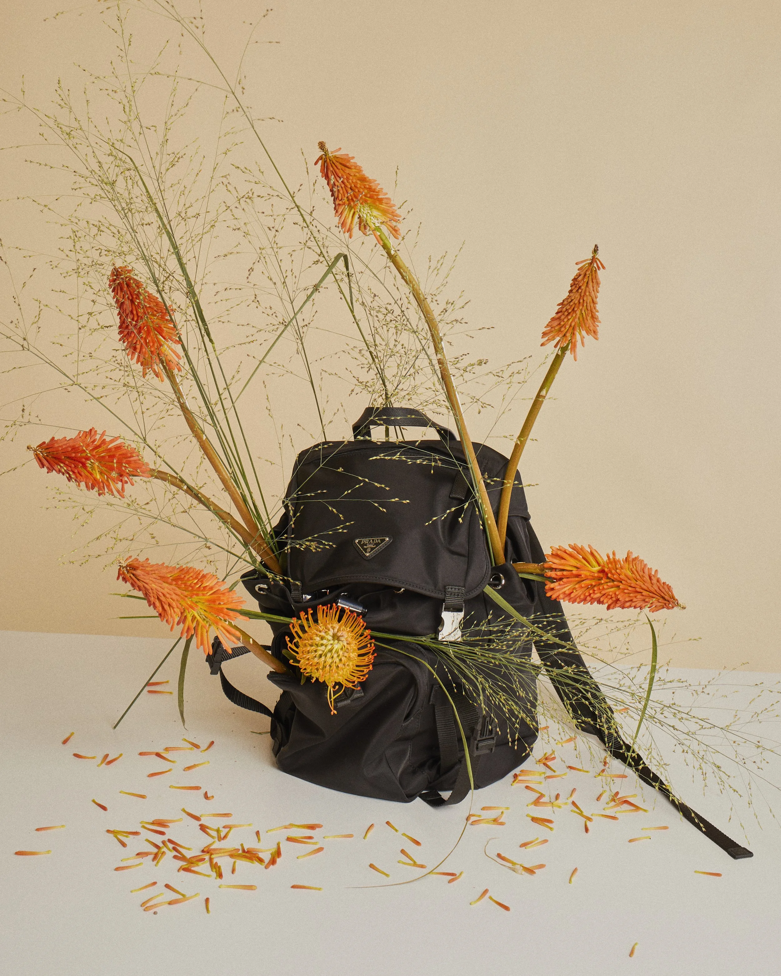 08-13-2025 Bloomon0548.jpg