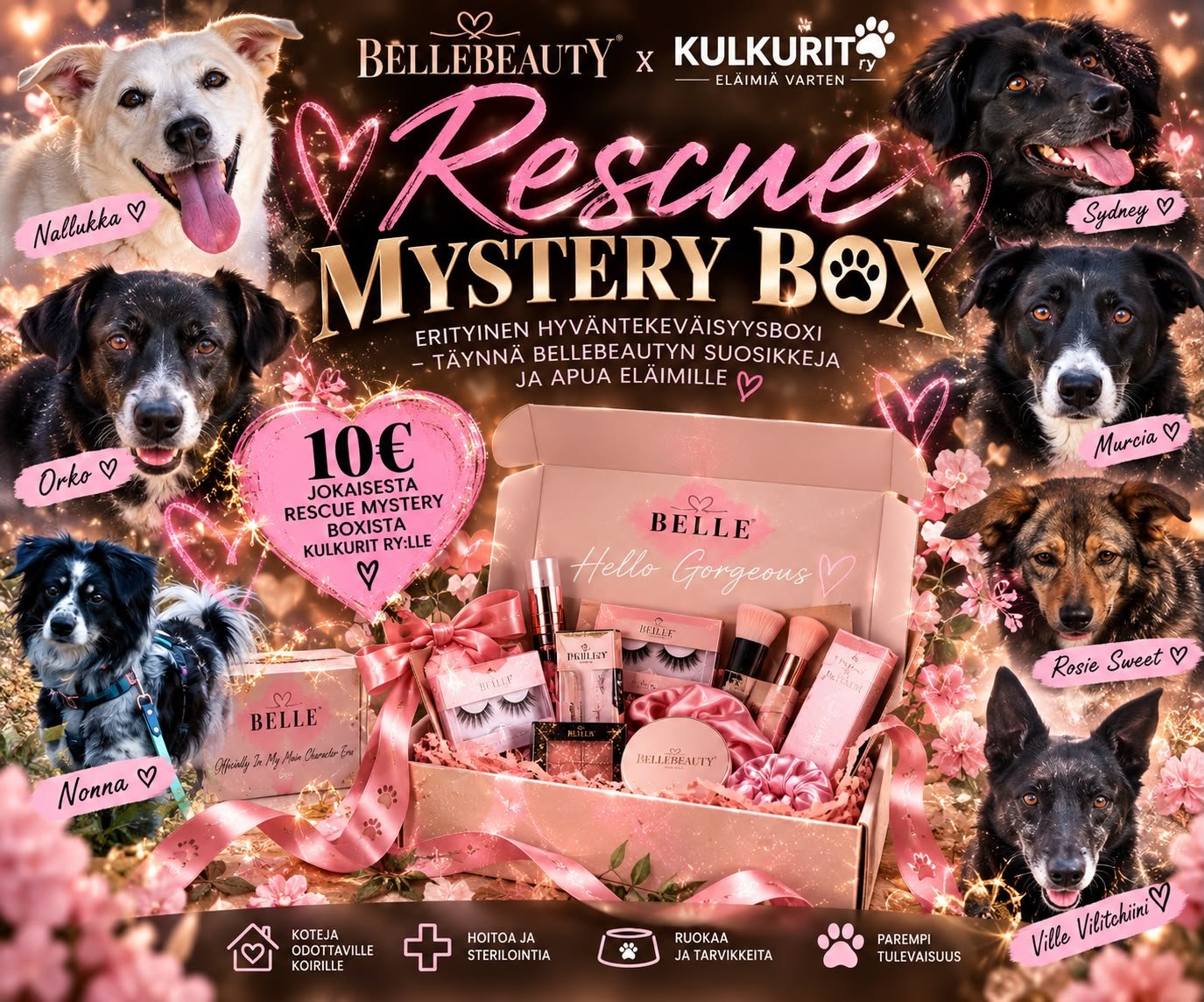 🐾 HERO Rescue Mystery Box