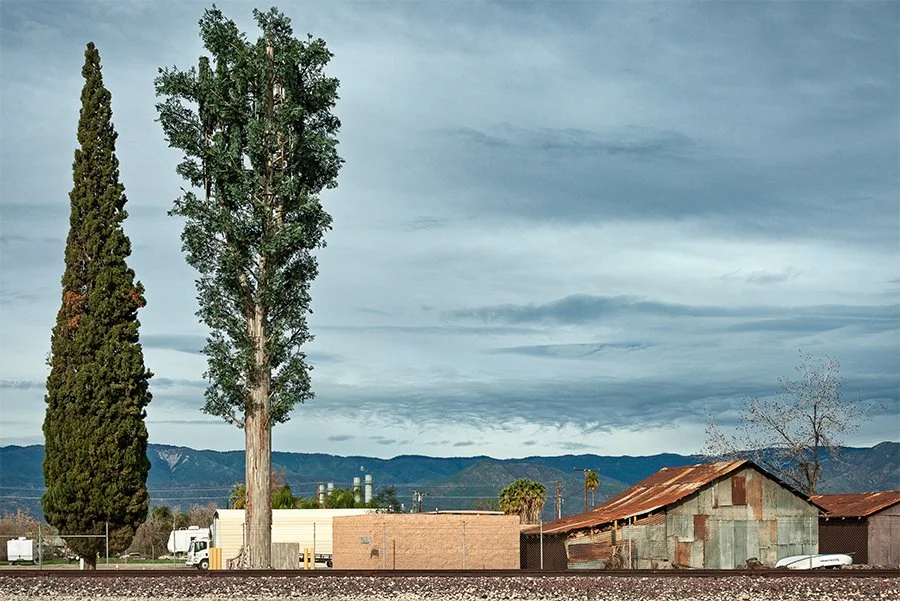 Eucalyptus, San Bernardino, CA