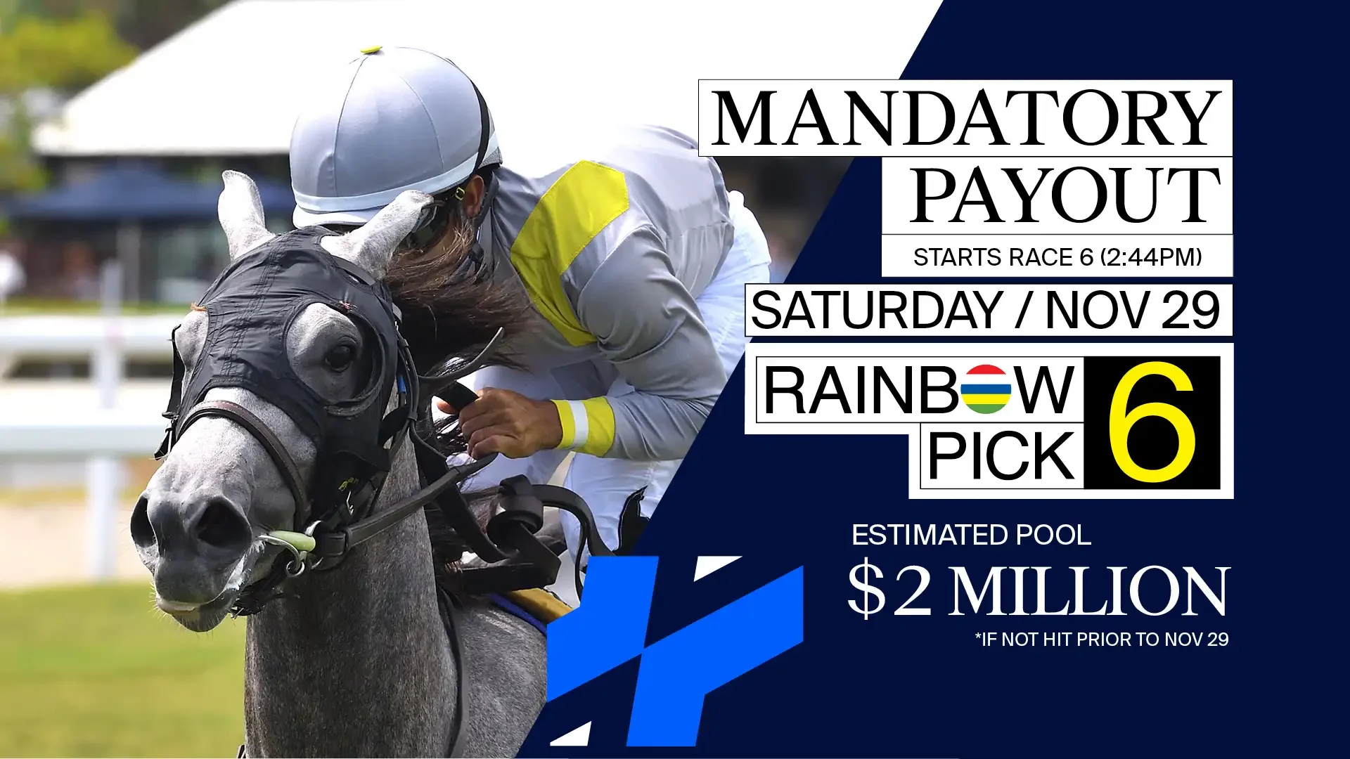 YOUR UPDATED DASHBOARDS ARE READY | ¡SUS TABLEROS ACTUALIZADOS ESTÁN LISTOS!