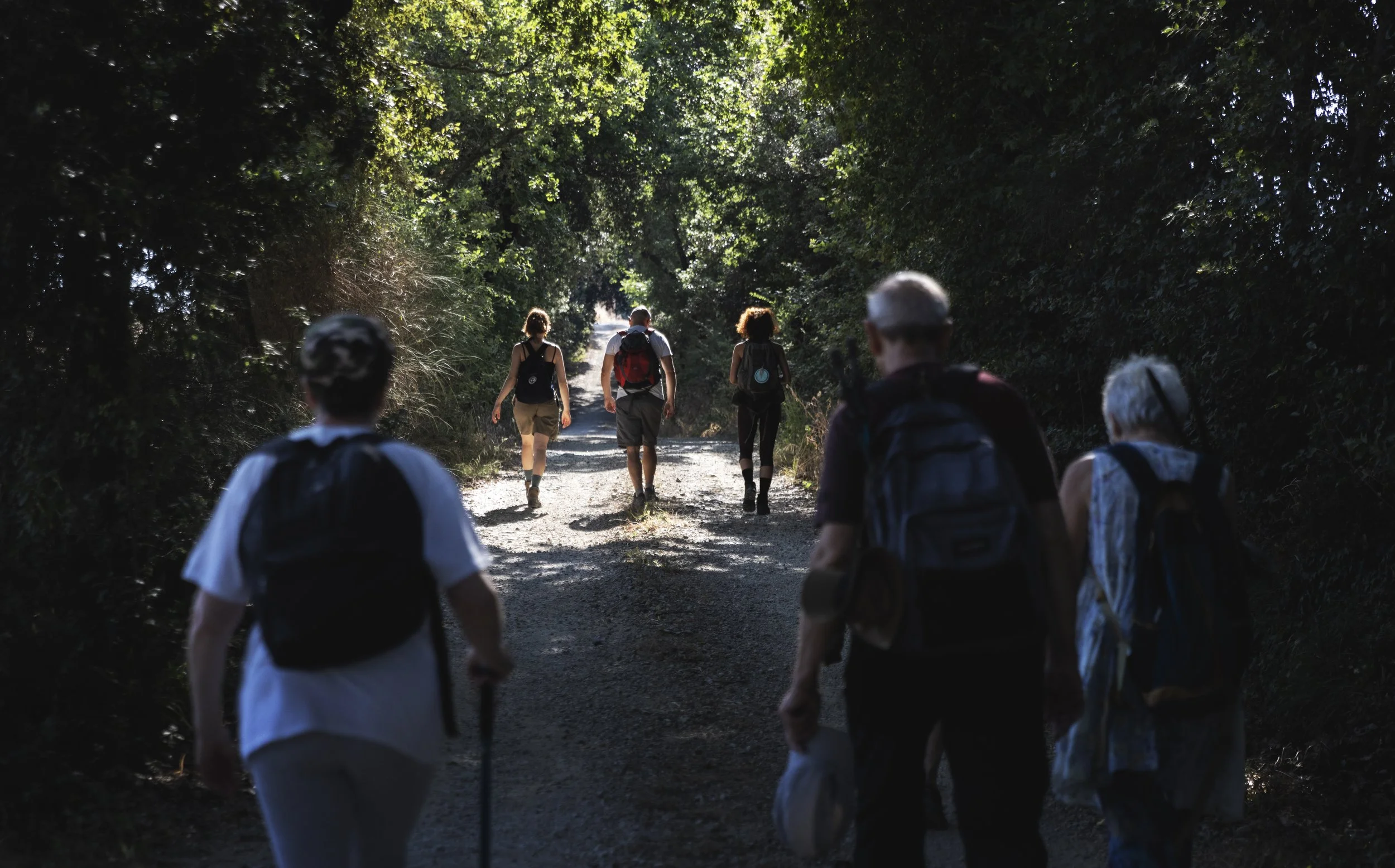 camminate e cani