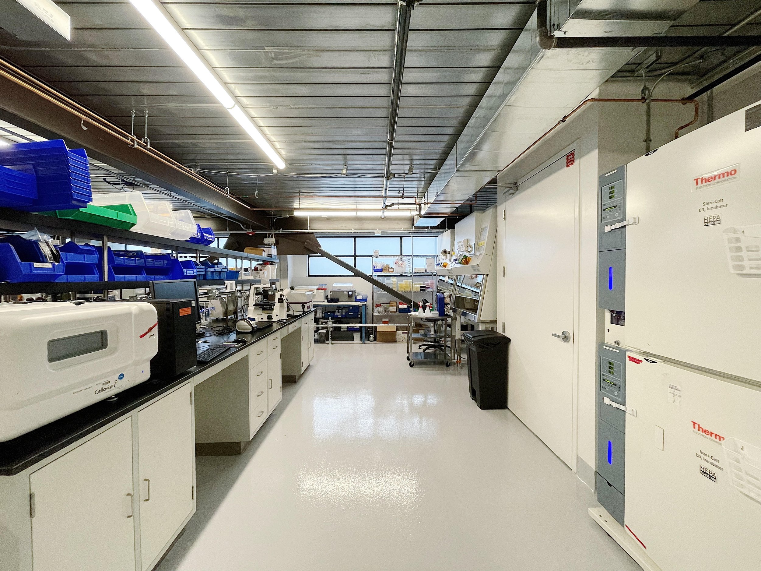 2-lab-2.jpg