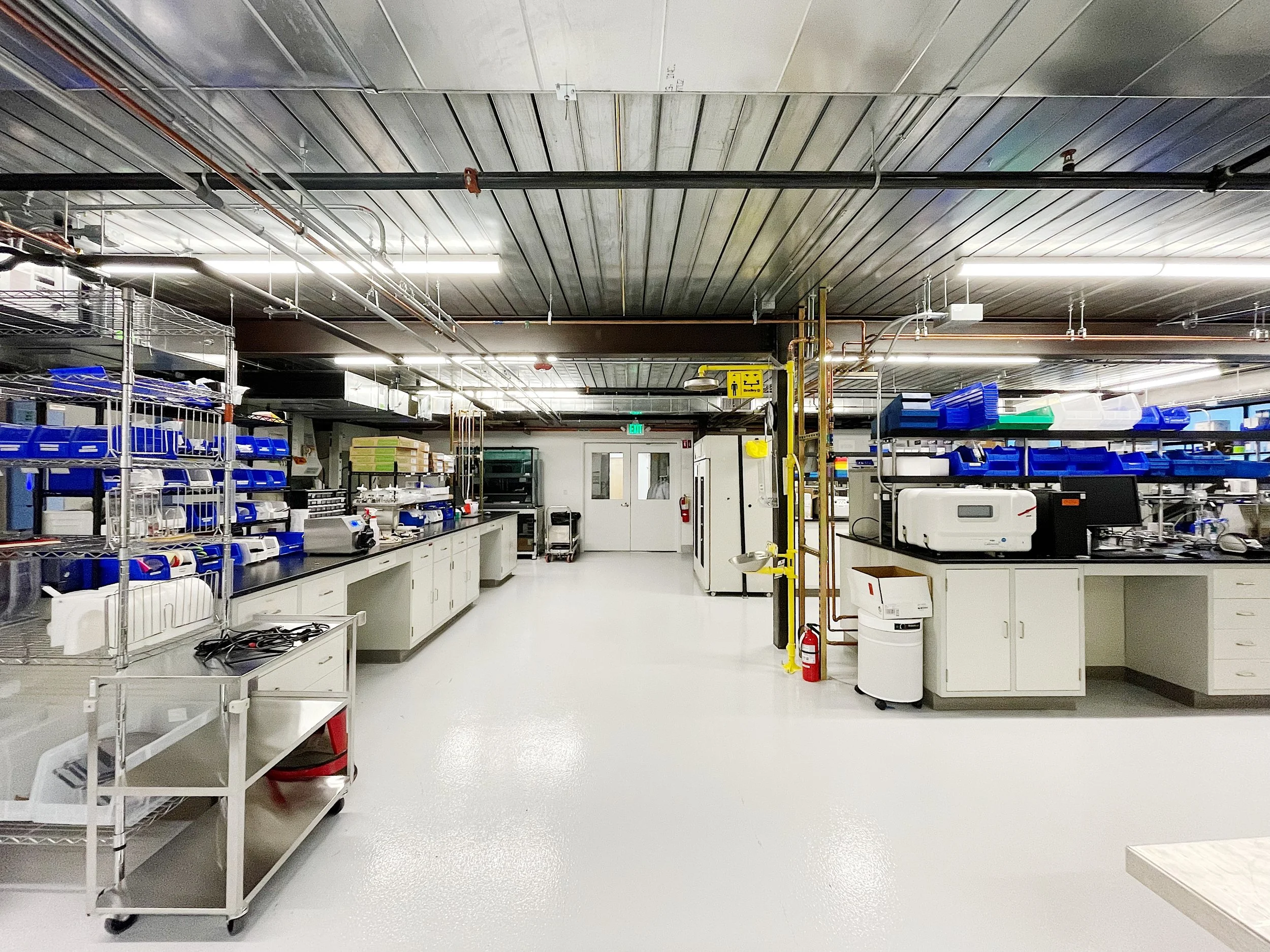 2-lab-3.jpg