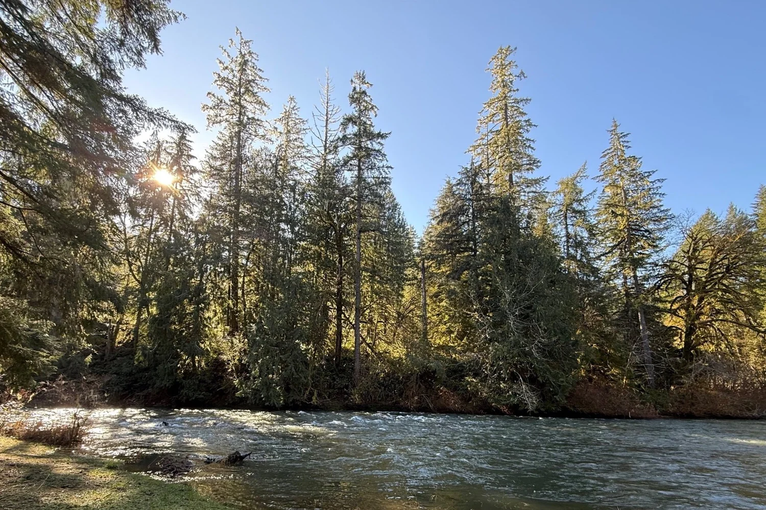 Creekside Retreat | Glamping campground in Oregon