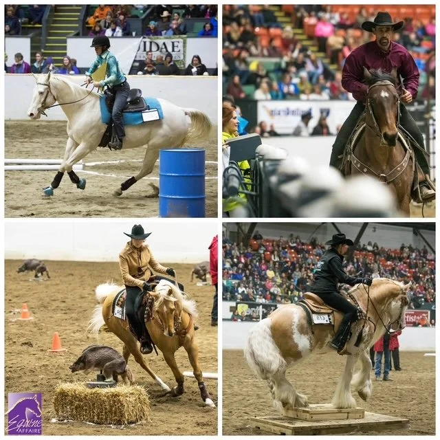 Ranch Riding Clinic with Sheryye Johnson Traffe
